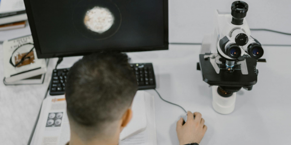 Rottura della Simmetria nello Stato Eccitato: Un Nuovo Strumento per Sondare i Campi Elettrici Microscopici